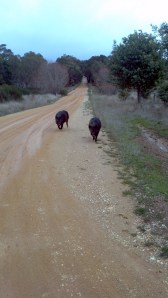 2012-06-18_12-51-30_211