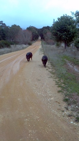 2012-06-18_12-51-30_211