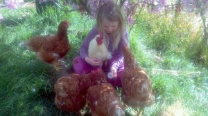 252997_356598491101222_502617933_n