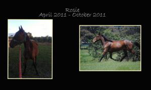 379664_10150378837013396_786123395_8218932_1767610333_n