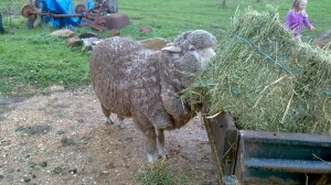 2012-05-26_15-32-10_350