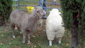 2015-05-08_14-18-28_161