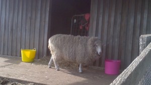 2015-05-24_13-11-08_297